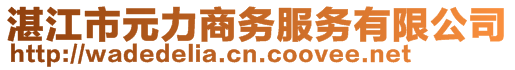 湛江市元力商务服务有限公司