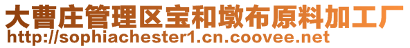 大曹莊管理區(qū)寶和墩布原料加工廠