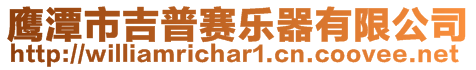 鷹潭市吉普賽樂器有限公司