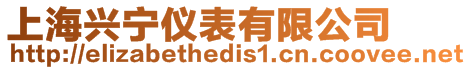 上海興寧儀表有限公司