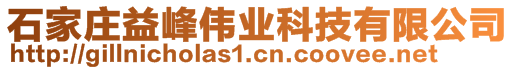 石家莊益峰偉業(yè)科技有限公司