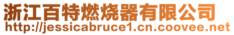 浙江百特燃烧器有限公司