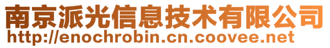 南京派光信息技術(shù)有限公司