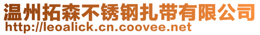 温州拓森不锈钢扎带有限公司