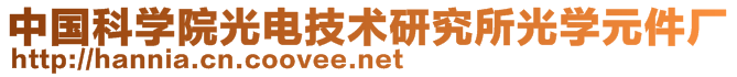 中國科學(xué)院光電技術(shù)研究所光學(xué)元件廠