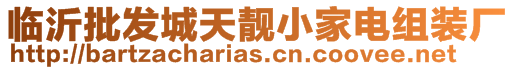 臨沂批發(fā)城天靚小家電組裝廠