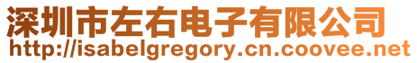 深圳市左右電子有限公司