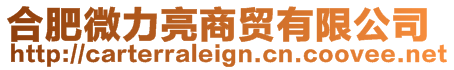 合肥微力亮商貿有限公司