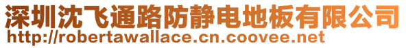 深圳沈飛通路防靜電地板有限公司