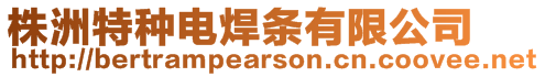 株洲特種電焊條有限公司