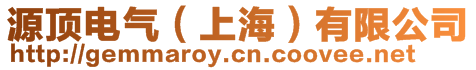 源頂電氣(上海)有限公司