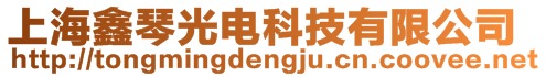 上海鑫琴光電科技有限公司