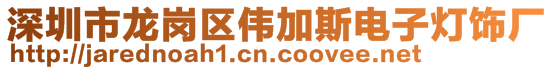 深圳市龍崗區(qū)偉加斯電子燈飾廠