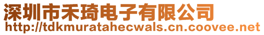 深圳市禾琦電子有限公司
