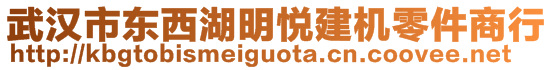 武漢市東西湖明悅建機零件商行