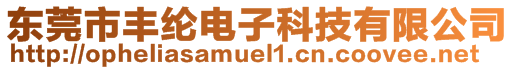 東莞市豐綸電子科技有限公司