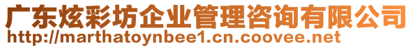 廣東炫彩坊企業(yè)管理咨詢有限公司
