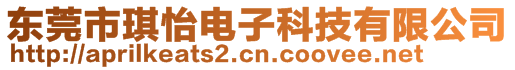 东莞市琪怡电子科技有限公司