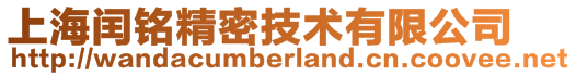 上海閏銘精密技術有限公司