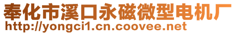 奉化市溪口永磁微型電機廠