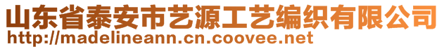 山東省泰安市藝源工藝編織有限公司