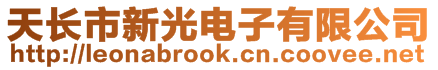 天長(zhǎng)市新光電子有限公司