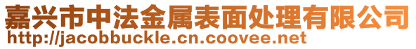 嘉兴市中法金属表面处理有限公司