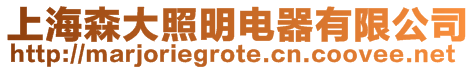 上海森大照明電器有限公司