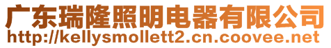 廣東瑞隆照明電器有限公司