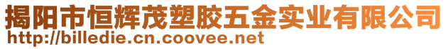 揭陽市恒輝茂塑膠五金實(shí)業(yè)有限公司