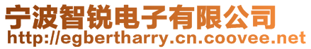 寧波智銳電子有限公司