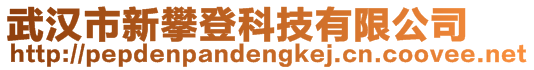 武漢市新攀登科技有限公司