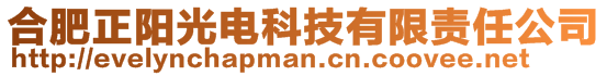 合肥正陽(yáng)光電科技有限責(zé)任公司