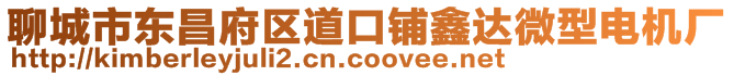 聊城市東昌府區(qū)道口鋪鑫達(dá)微型電機(jī)廠