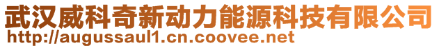 武漢威科奇新動力能源科技有限公司