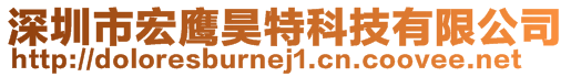 深圳市宏鷹昊特科技有限公司