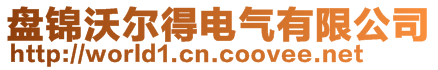 盤錦沃爾得電氣有限公司