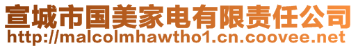 宣城市國美家電有限責任公司