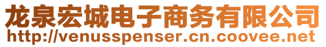 龍泉宏城電子商務有限公司