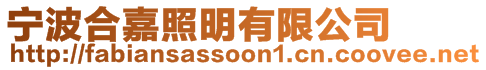 寧波合嘉照明有限公司
