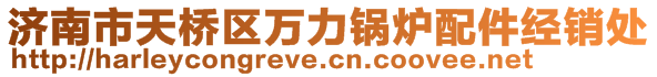 济南市天桥区万力锅炉配件经销处