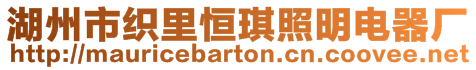 湖州市織里恒琪照明電器廠