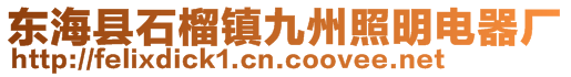 東?？h石榴鎮(zhèn)九州照明電器廠