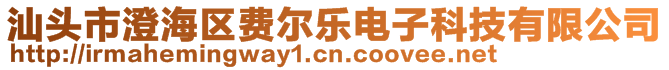 汕头市澄海区费尔乐电子科技有限公司