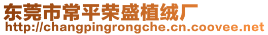 東莞市常平榮盛植絨廠