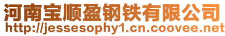 河南寶順盈鋼鐵有限公司