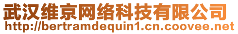 武漢維京網(wǎng)絡(luò)科技有限公司