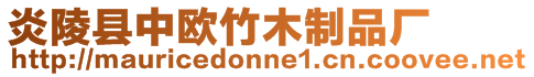 炎陵縣中歐竹木制品廠