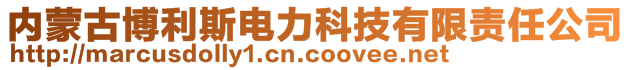 內蒙古博利斯電力科技有限責任公司