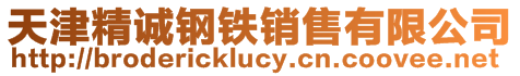 天津精誠鋼鐵銷售有限公司